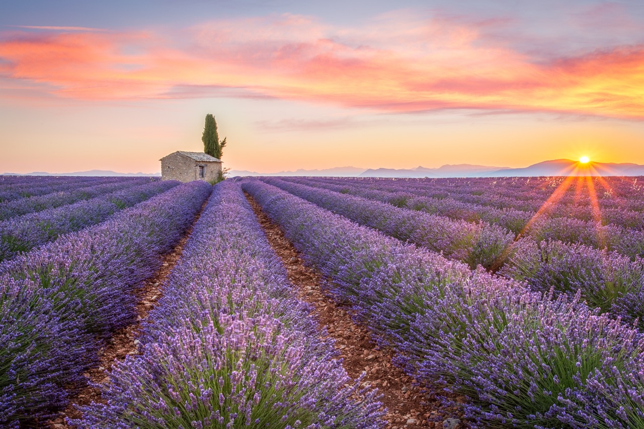 Provence Abend